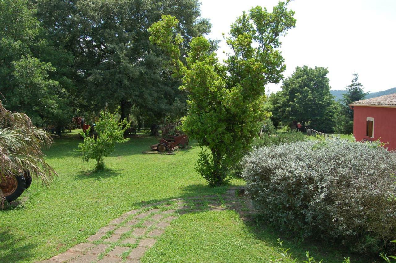 Agriturismo Castro Villa Ischia di Castro Exterior foto